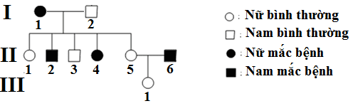 Lý thuyết Sinh học 12