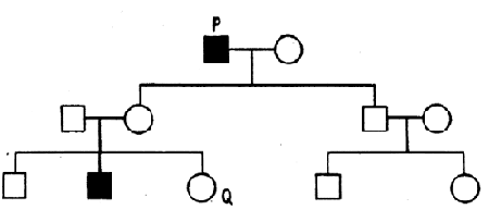 Lý thuyết sinh học 12