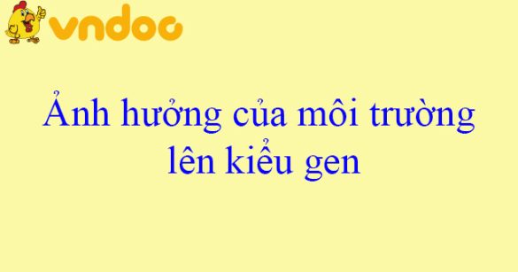 Ảnh hưởng của môi trường lên kiểu gen