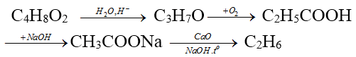 Các phản ứng hóa học của Este