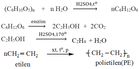 Chuỗi phản ứng hóa học của Polime