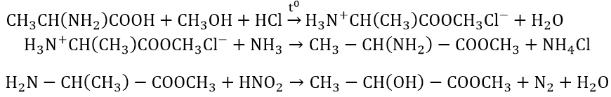 Các phản ứng hóa học của Amin, Amino Axit