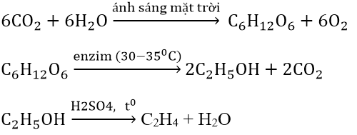 Các phản ứng hóa học của Glucozơ, Saccarozơ, Tinh bột, Xenlulozơ