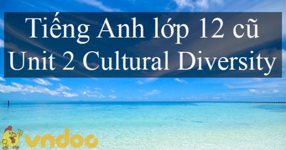 Bài tập tiếng Anh lớp 12 Unit 2 Cultural diversity