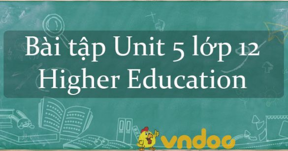 Bài tập Unit 5 lớp 12: Higher Education có đáp án