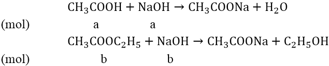 Bài toán về chất béo