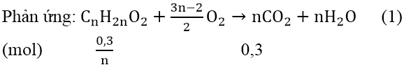 Bài toán về phản ứng đốt cháy Este