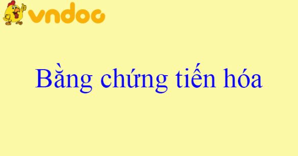 Bằng chứng tiến hóa