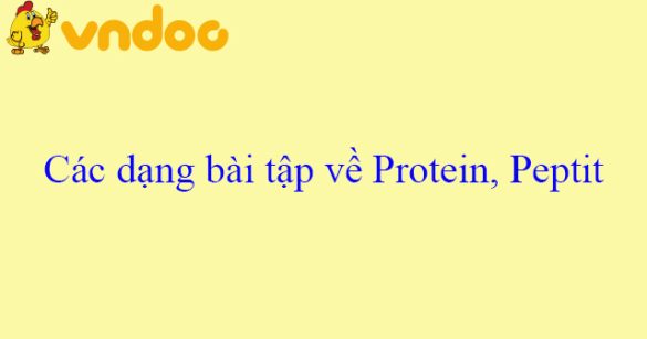 Các dạng bài tập về Protein, Peptit