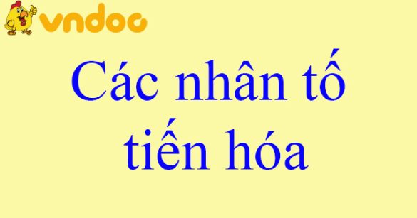 Các nhân tố tiến hóa