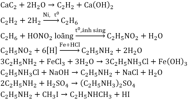 Các phản ứng hóa học của Amin, Amino Axit