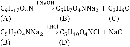 Các phản ứng hóa học của Amin, Amino Axit