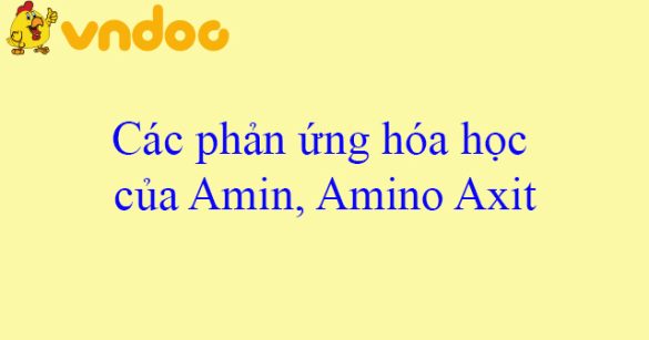 Các phản ứng hóa học của Amin, Amino Axit