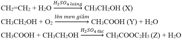 Các phản ứng hóa học của Este