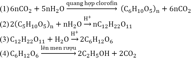 Các phản ứng hóa học của Glucozơ, Saccarozơ, Tinh bột, Xenlulozơ