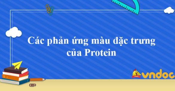 Các phản ứng màu đặc trưng của Protein