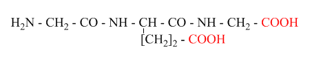 Các phản ứng thủy phân Peptit và Protein