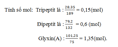 Các phản ứng thủy phân Peptit và Protein