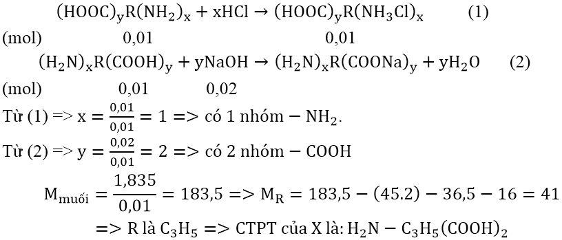 Cách xác định công thức Amin, Amino Axit