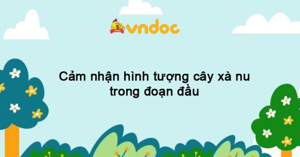 Cảm nhận hình tượng cây xà nu trong đoạn đầu