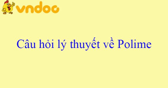 Câu hỏi lý thuyết về Polime