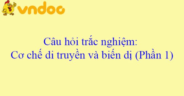 Câu hỏi trắc nghiệm: Cơ chế di truyền và biến dị (Phần 1)