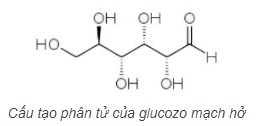 Cấu tạo mạch hở glucozo