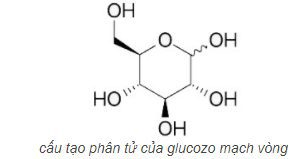 Cấu tạo mạch vòng glucozo