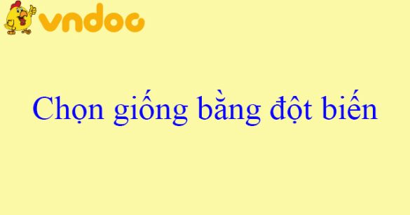 Chọn giống bằng đột biến