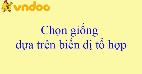 Chọn giống dựa trên biến dị tổ hợp