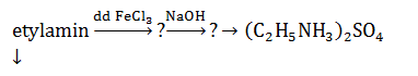 Chuỗi phản ứng Amin, Amino Axit