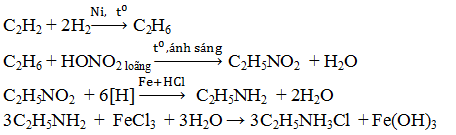 Chuỗi phản ứng Amin, Amino Axit