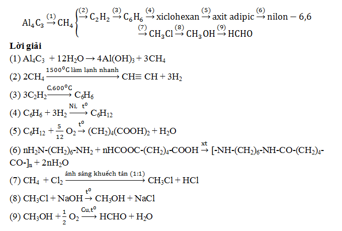 Chuỗi phản ứng Amin, Amino Axit