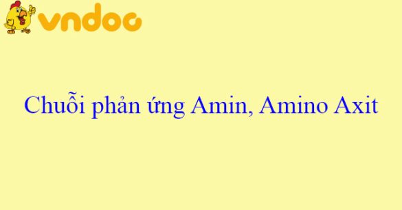 Chuỗi phản ứng Amin, Amino Axit