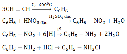 Chuỗi phản ứng Amin, Amino Axit