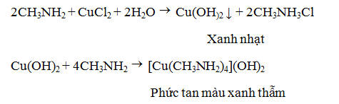 Dạng bài tập Amin tác dụng với dung dịch muối