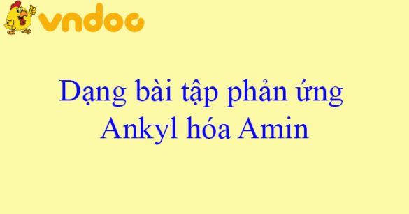 Dạng bài tập phản ứng Ankyl hóa Amin