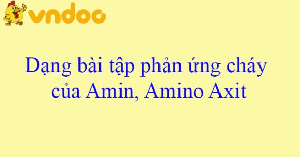 Dạng bài tập phản ứng cháy của Amin, Amino Axit