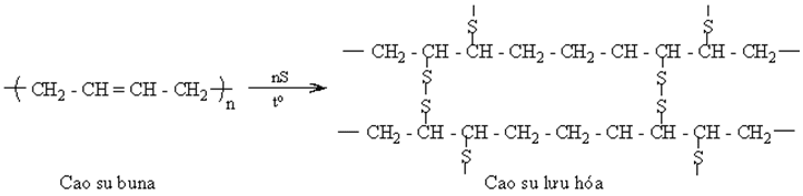 Dạng bài tập về tính chất của Polime