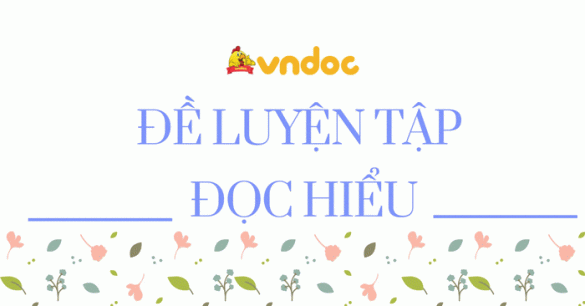 Đề luyện tập đọc hiểu số 1 - năm 2023