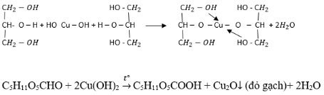 Giải bài tập Hóa học 12: Peptit và protein