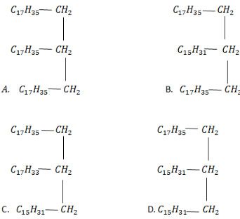 Giải bài tập Hóa học 12: Luyện tập Este và chất béo