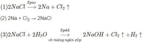 Giải bài tập Hóa học 12 SBT bài 25