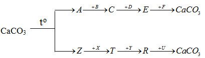 Giải bài tập Hóa học 12 SBT bài 28