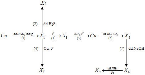 Giải bài tập Hóa học 12 SBT bài 35