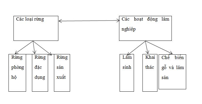 Giải bài tập SBT Địa lý 12 bài 24: Vấn đề phát triển ngành thủy sản và lâm nghiệp