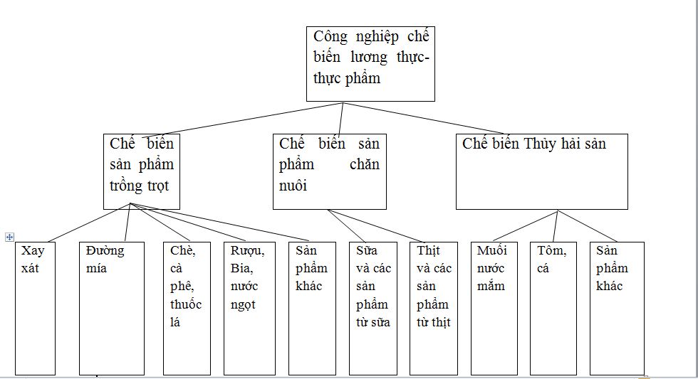 Vấn đề phát triển một số ngành công nghiệp trọng điểm