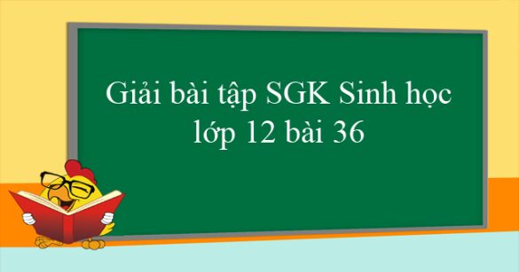 Giải bài tập SGK Sinh học lớp 12 bài 36: Quần thể sinh vật và mối quan hệ giữa các cá thể trong quần thể