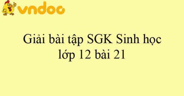 Giải bài tập SGK Sinh học lớp 12 bài 21: Di truyền y học