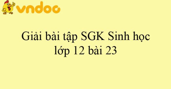 Giải bài tập SGK Sinh học lớp 12 bài 23: Ôn tập phần di truyền học